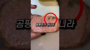 [Video] 3 Secret K-Spam Flavors Nobody Tells You About